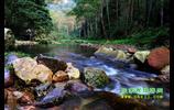 第一天：張家界國(guó)家森林公園 黃石寨 金鞭溪       宿：索溪峪