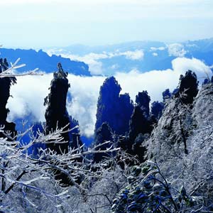 LD線(xiàn)：張家界、天子山、楊家界、猛洞河漂流純玩四日游