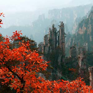 休閑自駕E線：張家界、袁家界、天子山、寶峰湖、鳳凰古城、沱江泛舟四晚五日游