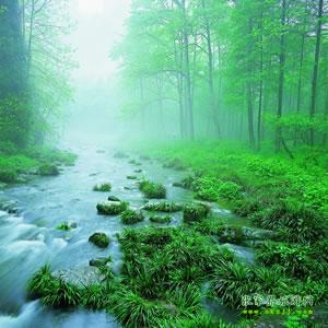 【純玩散拼尊享系列3】張家界、天子山、袁家界、黃龍洞、鳳凰三晚四日游
