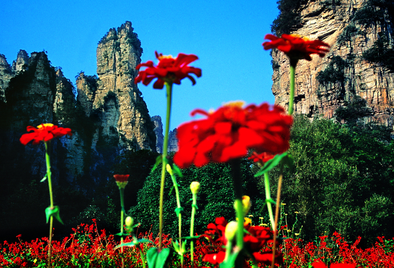 LF線：張家界國家森林公園、猛洞河漂流、鳳凰古城純玩自助五日游